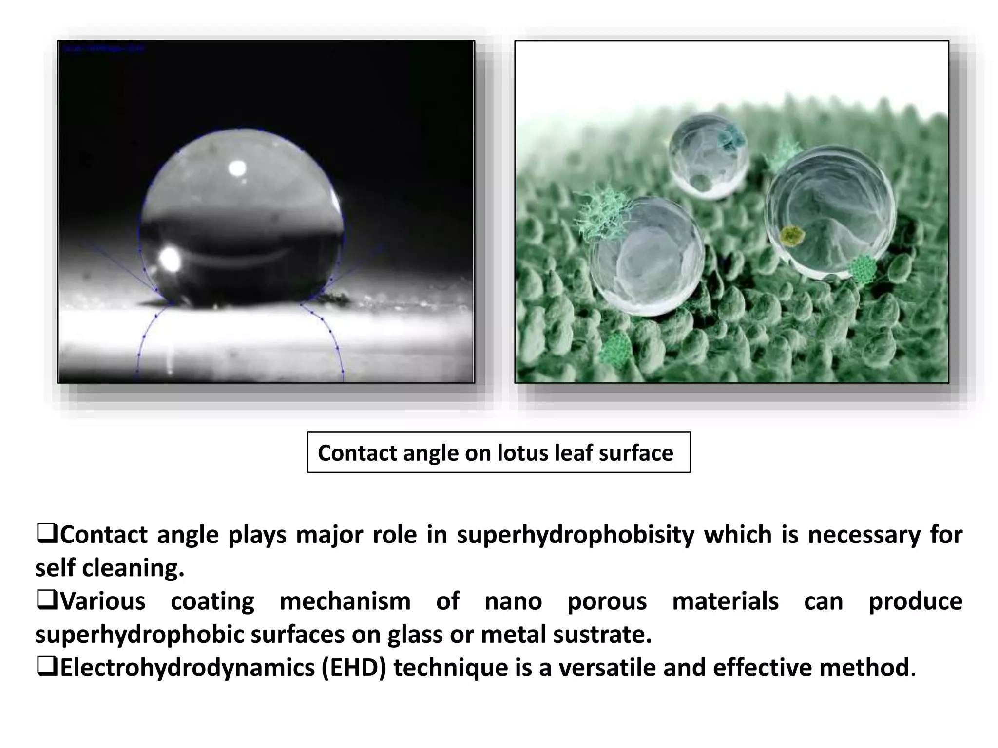 Bio inspired materials ppt | PPTX