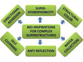 Bio inspired materials ppt | PPTX