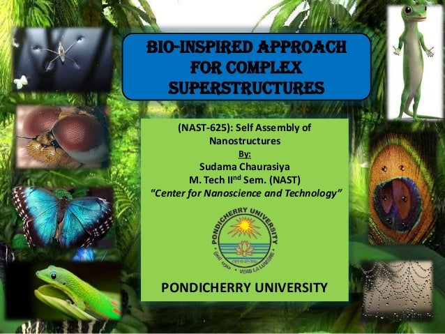 Bio inspired materials ppt