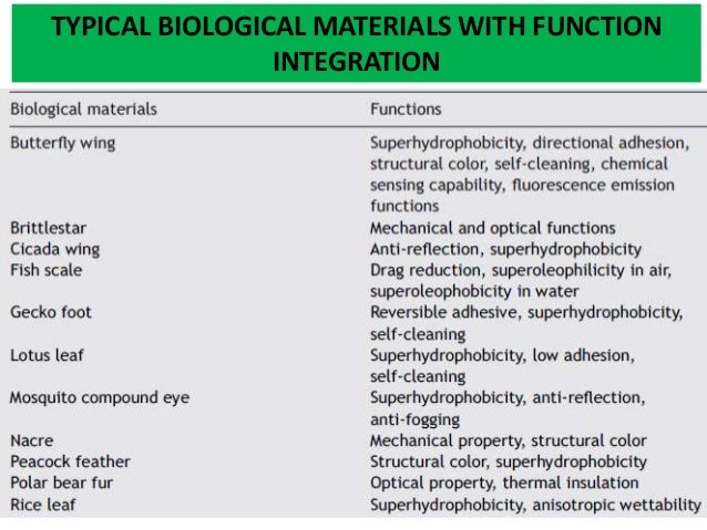 Bio inspired materials ppt