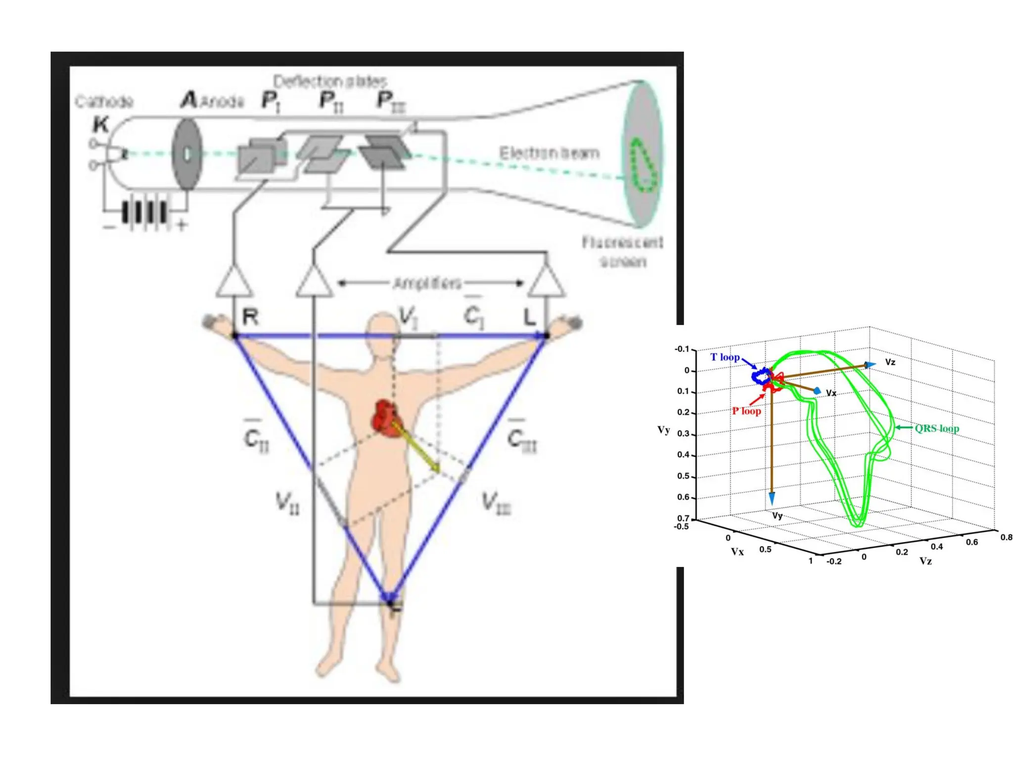 DEFINE BIOMEDICAL INSTRUMENTATION visual data 8