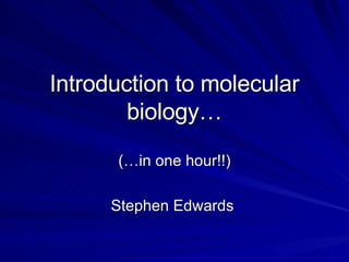 Introduction to molecular biology… (…in one hour!!) Stephen Edwards  