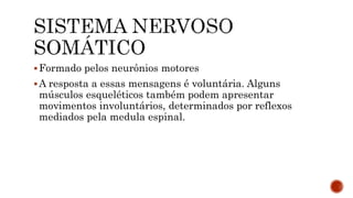 Formado pelos neurônios motores
A resposta a essas mensagens é voluntária. Alguns
músculos esqueléticos também podem apresentar
movimentos involuntários, determinados por reflexos
mediados pela medula espinal.
 