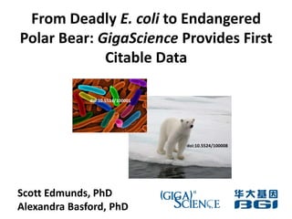 From Deadly E. coli to Endangered Polar Bear: GigaScience Provides First Citable Data doi:10.5524/100001  doi:10.5524/100008  Scott Edmunds, PhD Alexandra Basford, PhD 