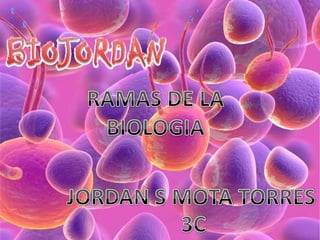 RAMAS DE LA BIOLOGIA JORDAN S MOTA TORRES 3C 