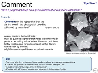 biok-commandtermsibbiology-140927204508-phpapp01.pptx