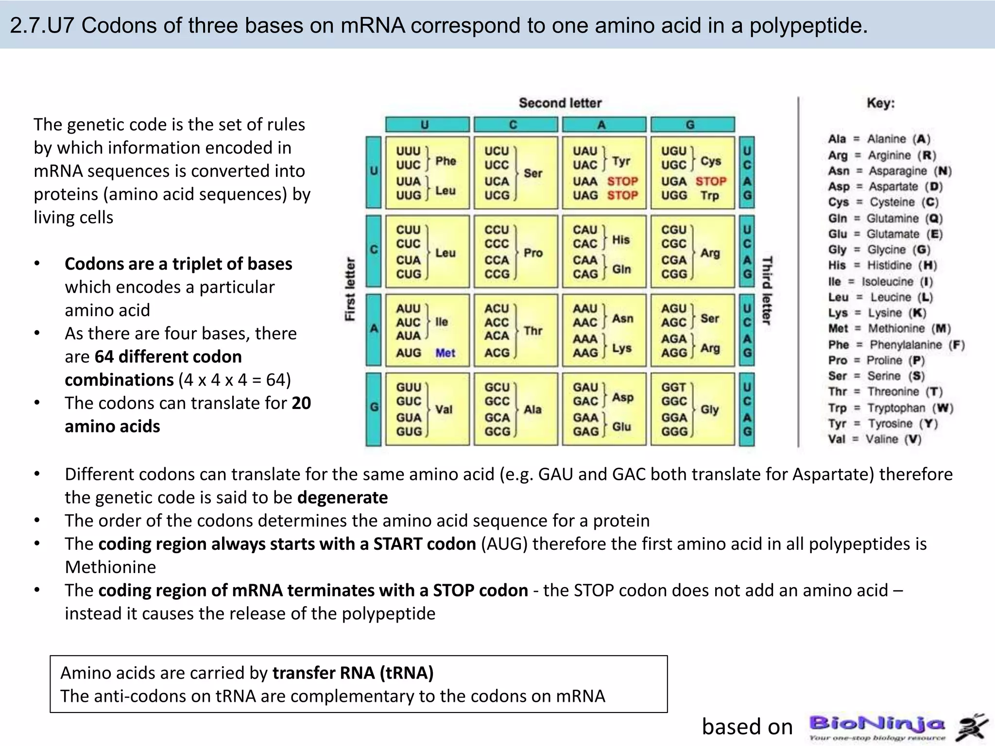Biok_2.7_DNA_replication_transcription_ and_translation.pptx
