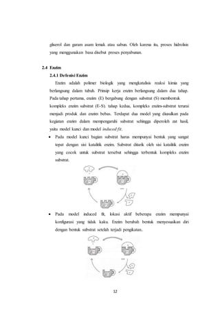 12
gliserol dan garam asam lemak atau sabun. Oleh karena itu, proses hidrolisis
yang menggunakan basa disebut proses penyabunan.
2.4 Enzim
2.4.1 Defenisi Enzim
Enzim adalah polimer biologik yang mengkatalisis reaksi kimia yang
berlangsung dalam tubuh. Prinsip kerja enzim berlangsung dalam dua tahap.
Pada tahap pertama, enzim (E) bergabung dengan substrat (S) membentuk
kompleks enzim substrat (E-S). tahap kedua, kompleks enzim-substrat terurai
menjadi produk dan enzim bebas. Terdapat dua model yang diusulkan pada
kegiatan enzim dalam mempengaruhi substrat sehingga diperoleh zat hasil,
yaitu model kunci dan model induced fit.
 Pada model kunci bagian substrat harus mempunyai bentuk yang sangat
tepat dengan sisi katalitik enzim. Substrat ditarik oleh sisi katalitik enzim
yang cocok untuk substrat tersebut sehingga terbentuk kompleks enzim
substrat.
 Pada model induced fit, lokasi aktif beberapa enzim mempunyai
konfigurasi yang tidak kaku. Enzim berubah bentuk menyesuaikan diri
dengan bentuk substrat setelah terjadi pengikatan..
 