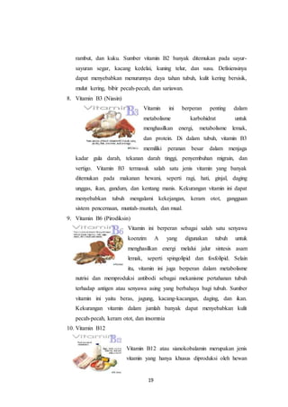 19
rambut, dan kuku. Sumber vitamin B2 banyak ditemukan pada sayur-
sayuran segar, kacang kedelai, kuning telur, dan susu. Defisiensinya
dapat menyebabkan menurunnya daya tahan tubuh, kulit kering bersisik,
mulut kering, bibir pecah-pecah, dan sariawan.
8. Vitamin B3 (Niasin)
Vitamin ini berperan penting dalam
metabolisme karbohidrat untuk
menghasilkan energi, metabolisme lemak,
dan protein. Di dalam tubuh, vitamin B3
memiliki peranan besar dalam menjaga
kadar gula darah, tekanan darah tinggi, penyembuhan migrain, dan
vertigo. Vitamin B3 termasuk salah satu jenis vitamin yang banyak
ditemukan pada makanan hewani, seperti ragi, hati, ginjal, daging
unggas, ikan, gandum, dan kentang manis. Kekurangan vitamin ini dapat
menyebabkan tubuh mengalami kekejangan, keram otot, gangguan
sistem pencernaan, muntah-muntah, dan mual.
9. Vitamin B6 (Pirodiksin)
Vitamin ini berperan sebagai salah satu senyawa
koenzim A yang digunakan tubuh untuk
menghasilkan energi melalui jalur sintesis asam
lemak, seperti spingolipid dan fosfolipid. Selain
itu, vitamin ini juga berperan dalam metabolisme
nutrisi dan memproduksi antibodi sebagai mekanisme pertahanan tubuh
terhadap antigen atau senyawa asing yang berbahaya bagi tubuh. Sumber
vitamin ini yaitu beras, jagung, kacang-kacangan, daging, dan ikan.
Kekurangan vitamin dalam jumlah banyak dapat menyebabkan kulit
pecah-pecah, keram otot, dan insomnia
10. Vitamin B12
Vitamin B12 atau sianokobalamin merupakan jenis
vitamin yang hanya khusus diproduksi oleh hewan
 