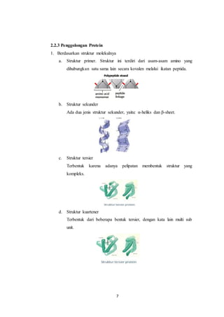7
2.2.3 Penggolongan Protein
1. Berdasarkan struktur molekulnya
a. Struktur primer. Struktur ini terdiri dari asam-asam amino yang
dihubungkan satu sama lain secara kovalen melalui ikatan peptida.
b. Struktur sekunder
Ada dua jenis struktur sekunder, yaitu: α-heliks dan β-sheet.
c. Struktur tersier
Terbentuk karena adanya pelipatan membentuk struktur yang
kompleks.
d. Struktur kuartener
Terbentuk dari beberapa bentuk tersier, dengan kata lain multi sub
unit.
 