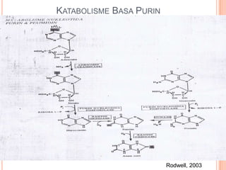 KATABOLISME BASA PURIN
Rodwell, 2003
 