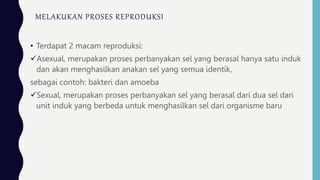 MELAKUKAN PROSES REPRODUKSI
• Terdapat 2 macam reproduksi:
Asexual, merupakan proses perbanyakan sel yang berasal hanya satu induk
dan akan menghasilkan anakan sel yang semua identik,
sebagai contoh: bakteri dan amoeba
Sexual, merupakan proses perbanyakan sel yang berasal dari dua sel dari
unit induk yang berbeda untuk menghasilkan sel dari organisme baru
 