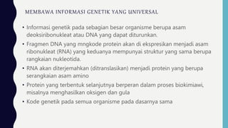 MEMBAWA INFORMASI GENETIK YANG UNIVERSAL
• Informasi genetik pada sebagian besar organisme berupa asam
deoksiribonukleat atau DNA yang dapat diturunkan.
• Fragmen DNA yang mngkode protein akan di ekspresikan menjadi asam
ribonukleat (RNA) yang keduanya mempunyai struktur yang sama berupa
rangkaian nukleotida.
• RNA akan diterjemahkan (ditranslasikan) menjadi protein yang berupa
serangkaian asam amino
• Protein yang terbentuk selanjutnya berperan dalam proses biokimiawi,
misalnya menghasilkan oksigen dan gula
• Kode genetik pada semua organisme pada dasarnya sama
 