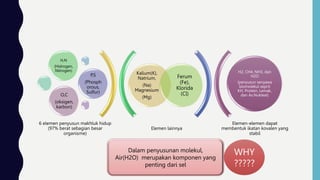 Elemen lainnya
Elemen-elemen dapat
membentuk ikatan kovalen yang
stabil
Kalium(K),
Natrium,
(Na)
Magnesium
(Mg)
Ferum
(Fe),
Klorida
(Cl)
H,N
(Hidrogen,
Nitrogen)
P,S
(Phosph
orous,
Sulfur)
O,C
(oksigen,
karbon)
H2, CH4, NH3, dan
H2O
(penyusun senyawa
biomolekul seprti
KH, Protein, Lemak,
dan As.Nukleat)
6 elemen penyusun makhluk hidup
(97% berat sebagian besar
organisme)
Dalam penyusunan molekul,
Air(H2O) merupakan komponen yang
penting dari sel
WHY
?????
 