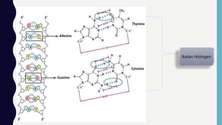 Ikatan Hidrogen
 