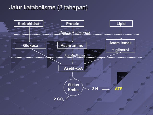 Epidemiologi Diabetes Melitus Di Indonesia Epidemiologi Diabetes Melitus Di Indonesia
