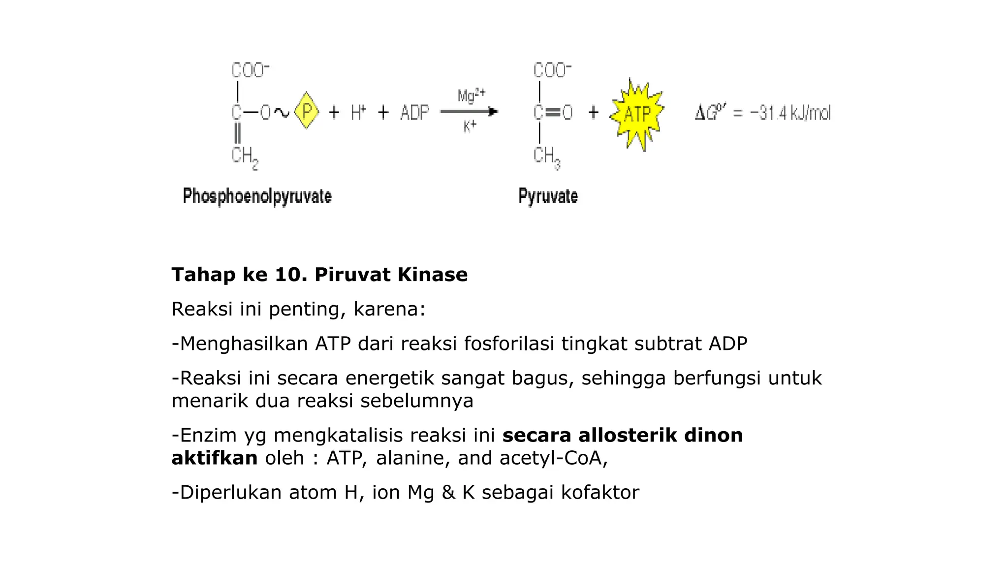 Biokimia-Metabolisme Karbohidrat-Lect 2.ppt