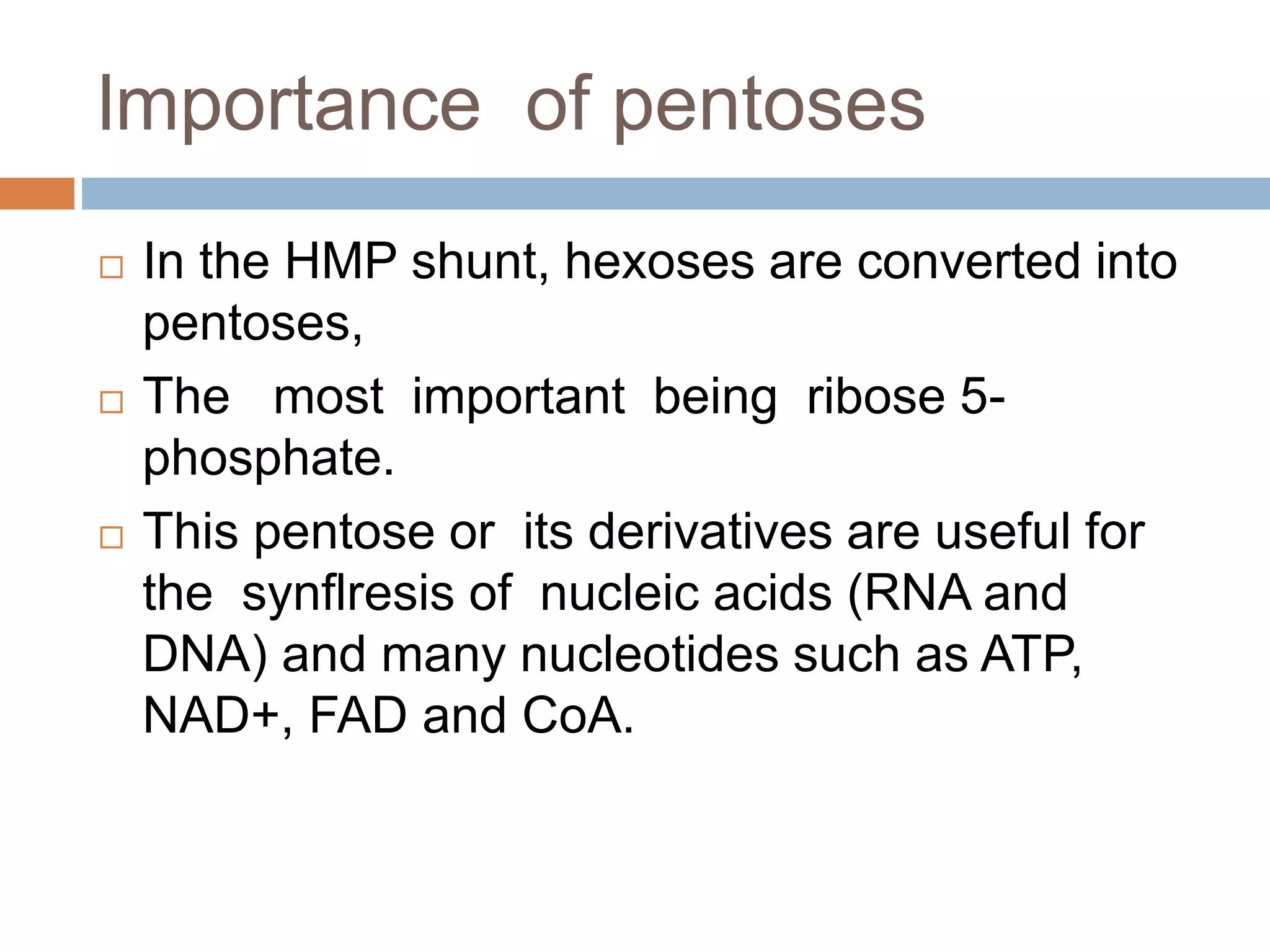 lmportance of pentoses
 In the HMP shunt, hexoses are converted into
pentoses,
 The most important being ribose 5-
phosphate.
 This pentose or its derivatives are useful for
the synflresis of nucleic acids (RNA and
DNA) and many nucleotides such as ATP,
NAD+, FAD and CoA.
 