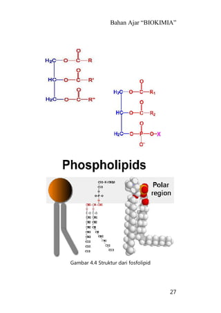 Bahan Ajar “BIOKIMIA”
27
Gambar 4.4 Struktur dari fosfolipid
 