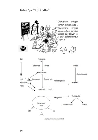 Bahan Ajar “BIOKIMIA”
34
Diskusikan dengan
teman-teman anda !.
Bagaimana proses
berdasarkan gambar
skema alur bawah ini
!. Buat dalam bentuk
paper !
 