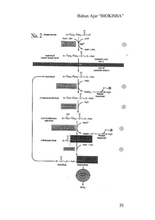Bahan Ajar “BIOKIMIA”
35
 