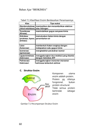 Bahan Ajar “BIOKIMIA”
60
Klas Tipe reaksi
Oksidoreduktase
(nitrat reduktase)
memisahkan dan menambahkan elektron
atau hidrogen
Transferase
(Kinase)
memindahkan gugus senyawa kimia
Hidrolase
(protease, lipase,
amilase)
memutuskan ikatan kimia dengan
penambahan air
Liase
(fumarase)
membentuk ikatan rangkap dengan
melepaskan satu gugus kimia
Isomerase
(epimerase)
mengkatalisir perubahan isomer
Ligase/sintetase
(tiokinase)
menggabungkan dua molekul yang disertai
dengan hidrolisis ATP
Polimerase
(tiokinase)
menggabungkan monomer-monomer
sehingga terbentuk polimer
Tabel 7.1 Klasifikasi Enzim Berdasarkan Penamaannya
C. Struktur Enzim
Komponen utama
enzim adalah protein.
Protein yg sifatnya
fungsional, bukan
protein structural.
Tidak semua protein
bertindak sebagai
enzim
Gambar 7.1 Perumpamaan Struktur Enzim
 
