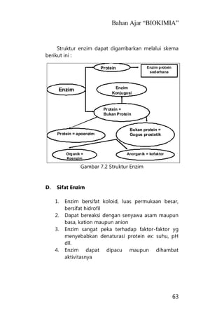 Bahan Ajar “BIOKIMIA”
63
Enzim
Protein Enzim protein
sederhana
Protein +
Bukan Protein
Protein = apoenzim
Enzim
Konjugasi
Bukan protein =
Gugus prostetik
Organik =
Koenzim
Anorganik = kofaktor
Struktur enzim dapat digambarkan melalui skema
berikut ini :
Gambar 7.2 Struktur Enzim
D. Sifat Enzim
1. Enzim bersifat koloid, luas permukaan besar,
bersifat hidrofil
2. Dapat bereaksi dengan senyawa asam maupun
basa, kation maupun anion
3. Enzim sangat peka terhadap faktor-faktor yg
menyebabkan denaturasi protein ex: suhu, pH
dll.
4. Enzim dapat dipacu maupun dihambat
aktivitasnya
 