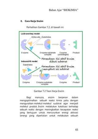 Bahan Ajar “BIOKIMIA”
65
E. Cara Kerja Enzim
Perhatikan Gambar 7.2, di bawah ini:
Gambar 7.2 Teori Kerja Enzim
Bagi manusia, enzim berperan dalam
mengoptimalkan sebuah reaksi kimia yaitu dengan
menguraikan molekul-molekul susbtrat agar menjadi
molekul produk. Enzim melakukan katalisasi terhadap
sebuah reaksi dengan meningkatkan kecepatan reaksi
yang bertujuan untuk menurunkan energi aktivasi
(energi yang diperlukan untuk melakukan sebuah
 