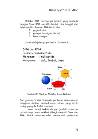 Bahan Ajar “BIOKIMIA”
71
Molekul RNA mempunyai bentuk yang berbeda
dengan DNA. RNA memiliki bentuk pita tunggal dan
tidak berpilin. Susunan RNA terdiri atas:
1. gugus fosfat,
2. gula pentosa (gula ribosa),
3. basa nitrogen.
Untuk lebih jelasnya perhatikan Gambar 8.1 :
Gambar 8.1 Struktur Molekul Asam Nukleat
Dari gambar di atas diperoleh gambaran secara umum
mengenai struktur molekul asam nukleat yang terdiri
dari gugus gula, fosfat, dan basa.
Akan tetapi terkait dengan jumlah monomer
nuklotidanya asam nukleat dibagi menjadi DNA dan
RNA. Untuk mempermudah memahami perbedaan
 
