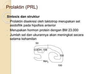 Prolaktin (PRL)
Sintesis dan struktur
- Prolaktin disekresi oleh laktotrop merupakan sel
asidofilik pada hipofisis anterior
- Merupakan hormon protein dengan BM 23.000
- Jumlah sel dan ukurannya akan meningkat secara
selama kehamilan
COOH
NH2
50
198
150
100
1
 