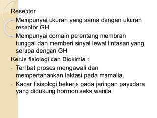 Reseptor
- Mempunyai ukuran yang sama dengan ukuran
reseptor GH
- Mempunyai domain perentang membran
tunggal dan memberi sinyal lewat lintasan yang
serupa dengan GH
KerJa fisiologi dan Biokimia :
- Terlibat proses mengawali dan
mempertahankan laktasi pada mamalia.
- Kadar fisisologi bekerja pada jaringan payudara
yang didukung hormon seks wanita
 