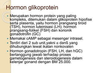 Hormon glikoprotein
 Merupakan hormon protein yang paling
kompleks, ditemukan dalam glikoprotein hipofise
serta plasenta, yaitu hormon prangsang tiroid
(TSH), hormon luteinisasi (LH); hormon
prangsang-folikel (FSH) dan korionik
gonadotrofin (GC)
 Memakai cAMP sebagai mesenger intrasel.
 Terdiri dari 2 sub unit,yakni α danß yang
dihubungkan lewat ikatan nonkovalen
 Hormon gonadotropin (FSH, LH, dan hGC)
bertanggung jawab terhadap proses
gametogenesis dan steroidogenesis dalam
kelenjar gonand dengan BM 25.000.
 