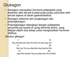 Glukagon
 Glukagon merupakan hormone polipeptida yang
disekresi oleh sel-sel A pada pulau-pulau pancreas oleh
sel-sel sejenis di darah gastrointestinal.
 Glukagon dibentuk dari proglukagon dan
preproglukagon.
 Preproglukagon dilengkapi dengan polipeptida
penyambung isyarat di ujung terminal amino, yang
dilepas dalam dua tahap untuk menghasilkan hormone
aktifnya.
Struktur glikagon
1 10
NH2-His-Ser-Gin-Gly-Thr-Phe-Thr-Ser-Asp-Tyr-
11 20
Ser-Lys-Tyr-Leu-Asp-Ser-Arg-Arg-Ala-Gin-
21 29
Asp-Phe-Val-Gin-Trp-Leu-Met-Asn-Thr-COOH
 