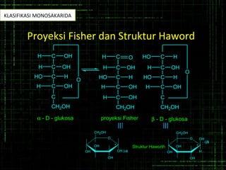Proyeksi Fisher dan Struktur Haword
O
OH OH (α)
OH
OH
CH2OH
*
O
OH
OH
H
OH
OH
CH2OH
*Struktur Haworth
(β)
C OH
C OHH
C HHO
C OHH
C
CH2OH
H C O
C OHH
C HHO
C OHH
C
CH2OH
H
H OH
C H
C OHH
C HHO
C OHH
C
CH2OH
HO
O
α - D - glukosa proyeksi Fisher β - D - glukosa
O
KLASIFIKASI MONOSAKARIDA
 