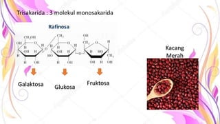 Trisakarida : 3 molekul monosakarida
Galaktosa Glukosa
Fruktosa
Kacang
Merah
 