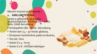 Macam-macam polisakarida :
1. AMILUM/TEPUNG
rantai a-glikosidik (glukosa)n :
glukosan/glukan Amilosa (15 – 20%) :
helix, tidak bercabang
• Amilopektin (80 – 85%) : bercabang
• Terdiri dari 24 – 30 residu glukosa,
• Simpanan karbohidrat pada tumbuhan,
• Tes Iod : biru
• ikatan C1-4 : lurus
• ikatan C1-6 : titik percabangan
 