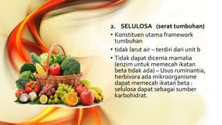 2. SELULOSA (serat tumbuhan)
• Konstituen utama framework
tumbuhan
• tidak larut air – terdiri dari unit b
• Tidak dapat dicerna mamalia
(enzim untuk memecah ikatan
beta tidak ada) – Usus ruminantia,
herbivora ada mikroorganisme
dapat memecah ikatan beta :
selulosa dapat sebagai sumber
karbohidrat.
 