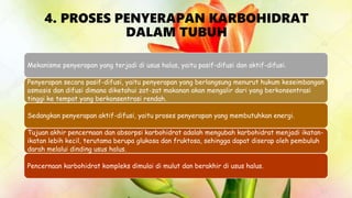 4. PROSES PENYERAPAN KARBOHIDRAT
DALAM TUBUH
Mekanisme penyerapan yang terjadi di usus halus, yaitu pasif-difusi dan aktif-difusi.
Penyerapan secara pasif-difusi, yaitu penyerapan yang berlangsung menurut hukum keseimbangan
osmosis dan difusi dimana diketahui zat-zat makanan akan mengalir dari yang berkonsentrasi
tinggi ke tempat yang berkonsentrasi rendah.
Sedangkan penyerapan aktif-difusi, yaitu proses penyerapan yang membutuhkan energi.
Tujuan akhir pencernaan dan absorpsi karbohidrat adalah mengubah karbohidrat menjadi ikatan-
ikatan lebih kecil, terutama berupa glukosa dan fruktosa, sehingga dapat diserap oleh pembuluh
darah melalui dinding usus halus.
Pencernaan karbohidrat kompleks dimulai di mulut dan berakhir di usus halus.
 