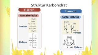 Struktur Karbohidrat
 