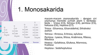 1. Monosakarida
macam-macam monosakarida : dengan ciri
utamanya memiliki jumlah atom C berbeda-
beda : triosa (C3), tetrosa (C4), pentosa (C5),
heksosa (C6), heptosa (C7).
Triosa : Gliserosa, Gliseraldehid, Dihidroksi
aseton
Tetrosa : threosa, Eritrosa, xylulosa
Pentosa : Lyxosa, Xilosa, Arabinosa, Ribosa,
Ribulosa
Hexosa : Galaktosa, Glukosa, Mannosa,
fruktosa
Heptosa : Sedoheptulosa
 