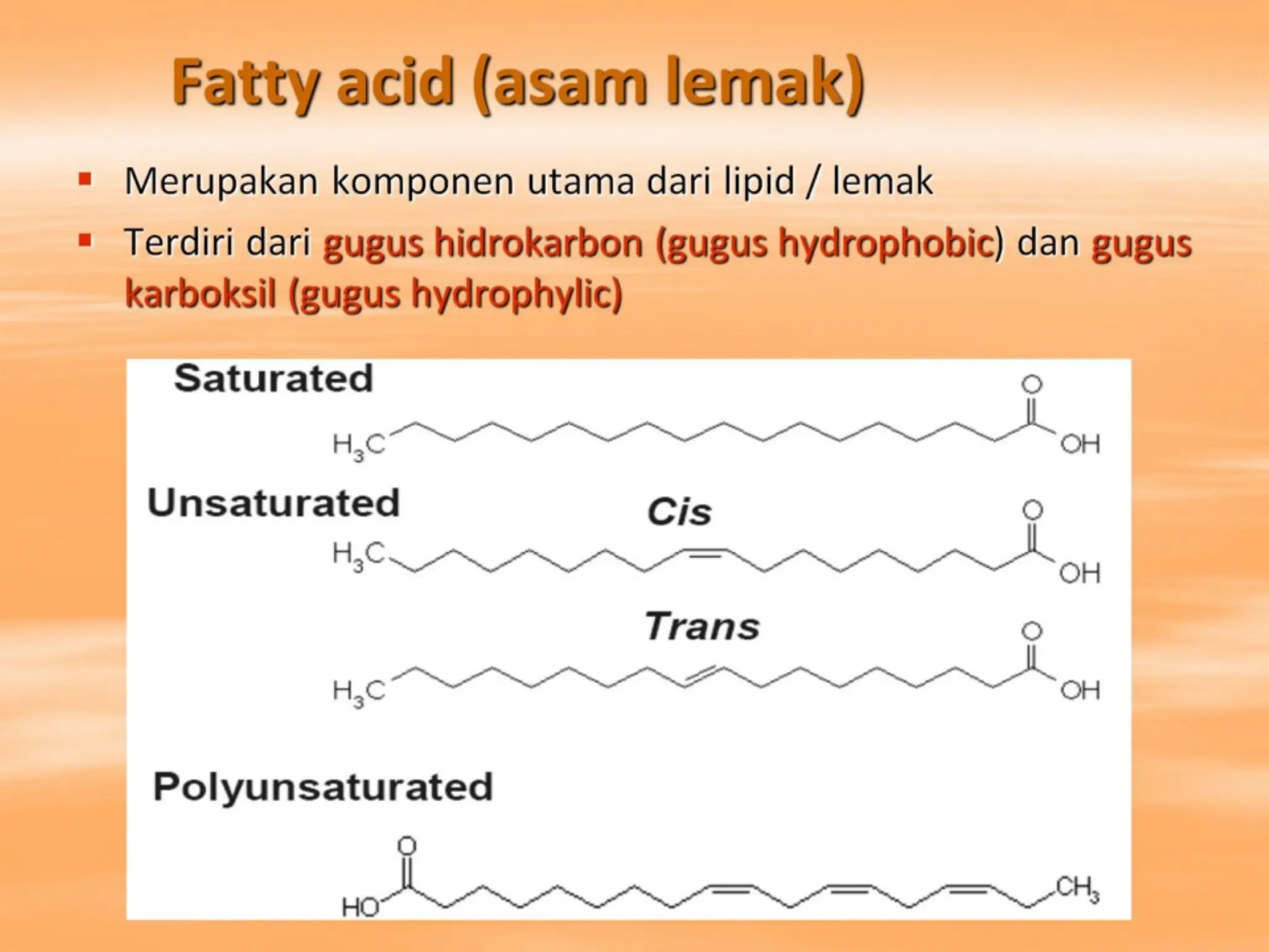 Fatty acid (asam lemak)
