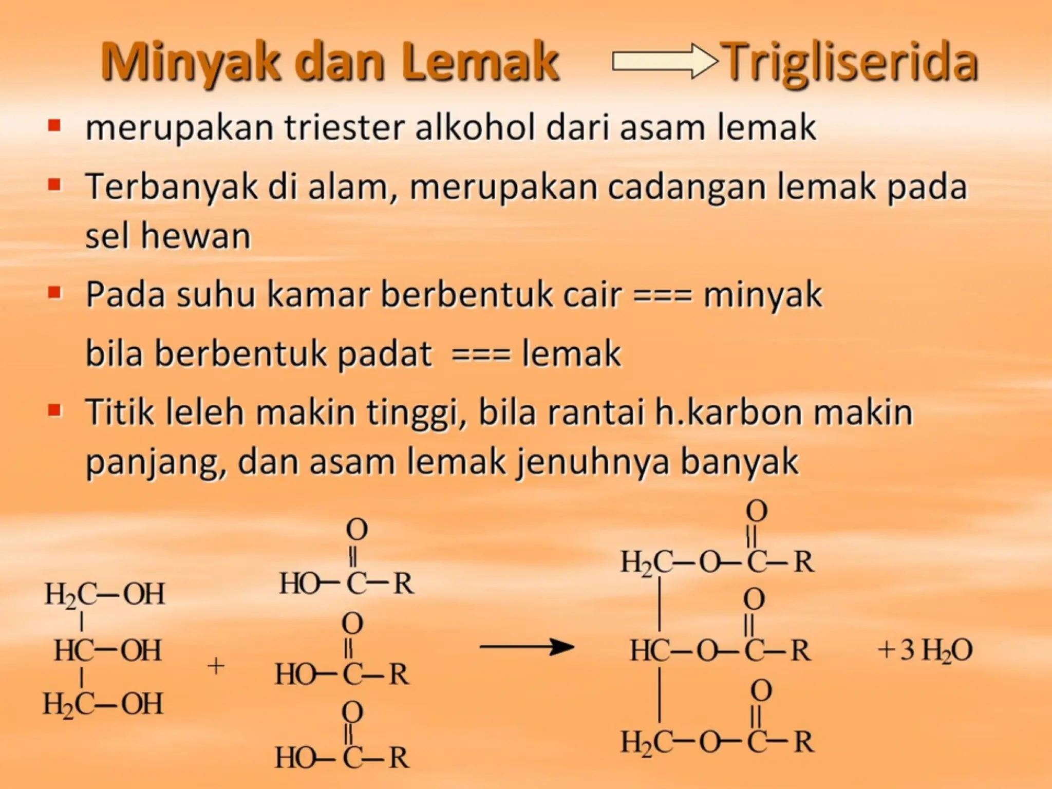 Minyak dan Lemak Trigliserida