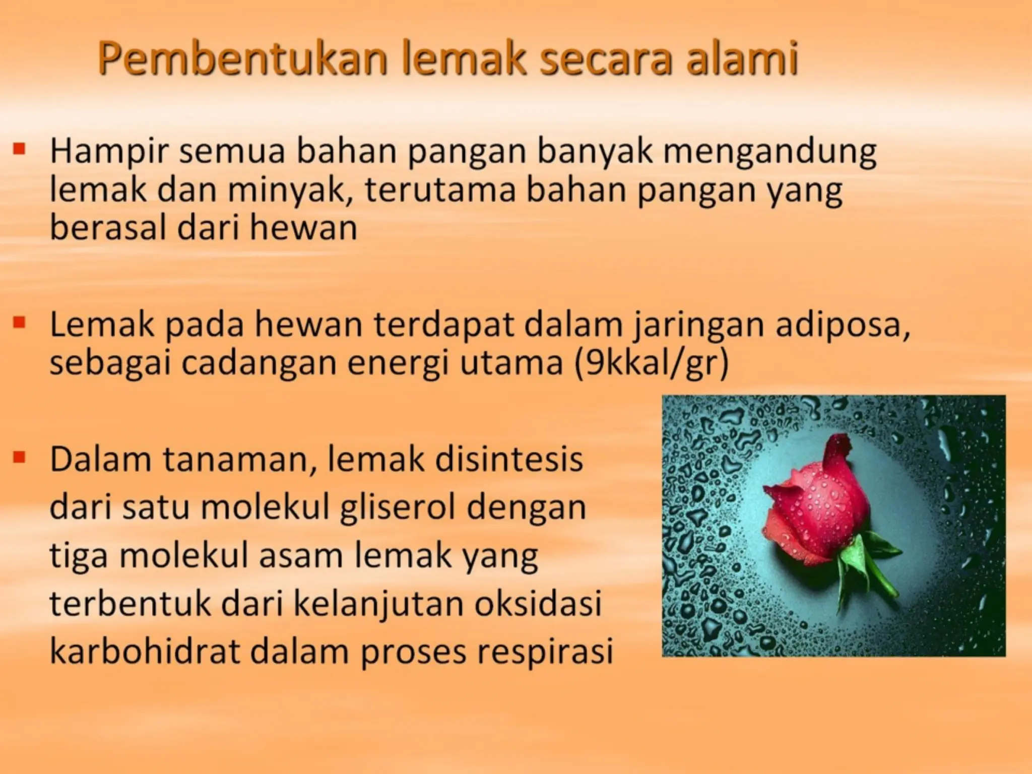 Pembentukan lemak secara alami