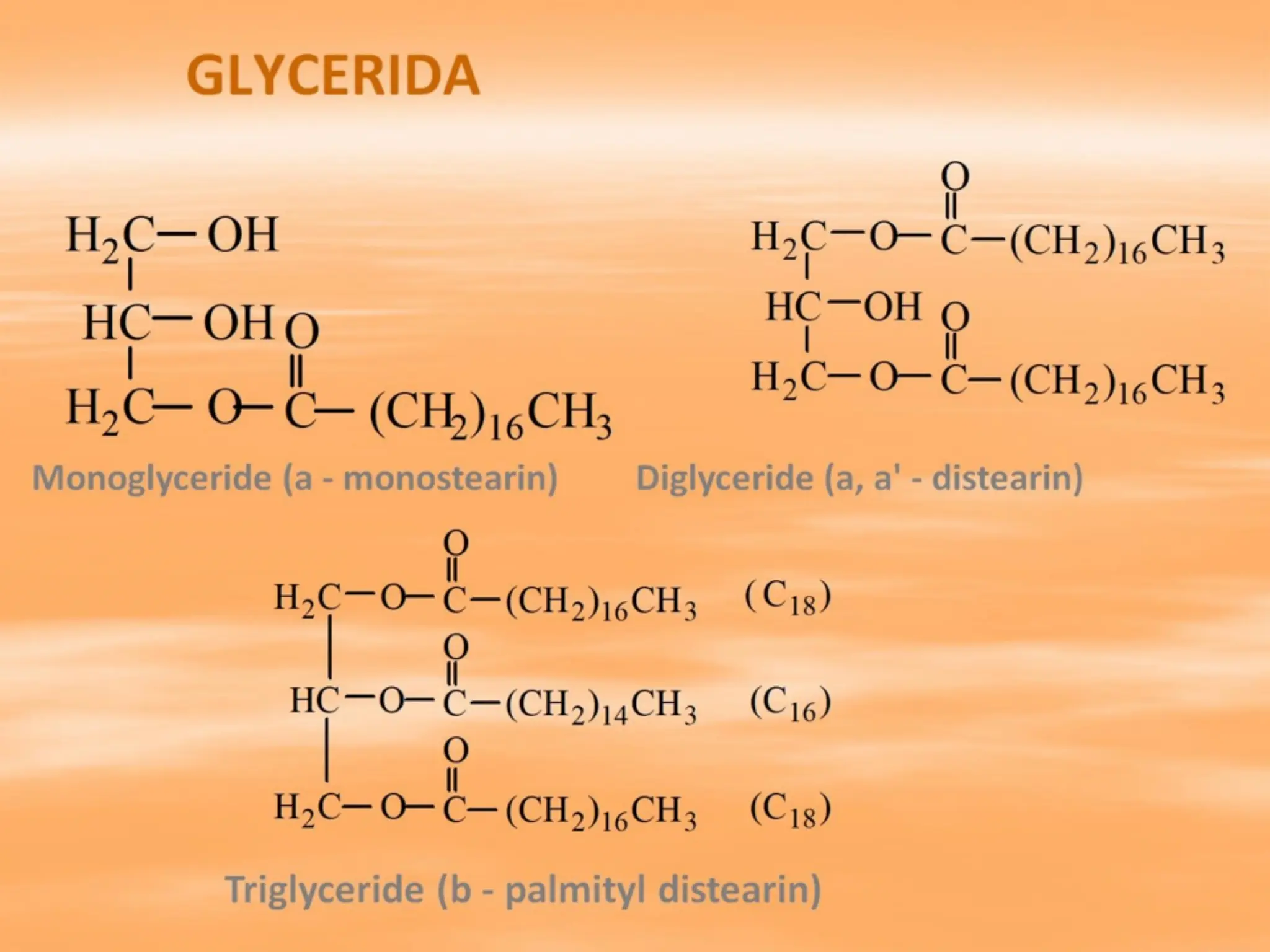 GLYCERIDA