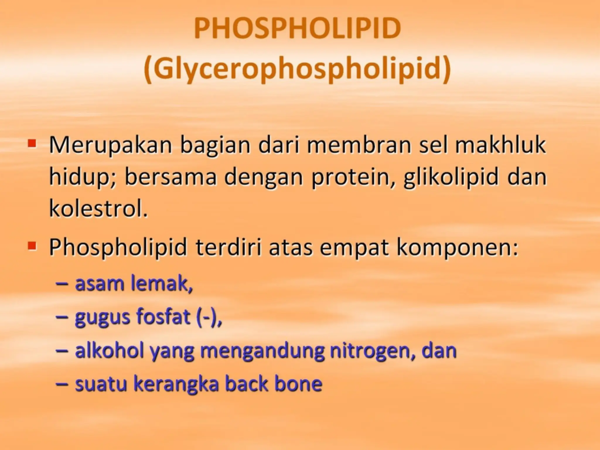 PHOSPHOLIPID
(Glycerophospholipid)