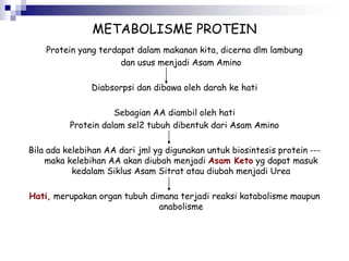 METABOLISME PROTEIN
Protein yang terdapat dalam makanan kita, dicerna dlm lambung
dan usus menjadi Asam Amino
Diabsorpsi dan dibawa oleh darah ke hati
Sebagian AA diambil oleh hati
Protein dalam sel2 tubuh dibentuk dari Asam Amino
Bila ada kelebihan AA dari jml yg digunakan untuk biosintesis protein ---
maka kelebihan AA akan diubah menjadi Asam Keto yg dapat masuk
kedalam Siklus Asam Sitrat atau diubah menjadi Urea
Hati, merupakan organ tubuh dimana terjadi reaksi katabolisme maupun
anabolisme
 
