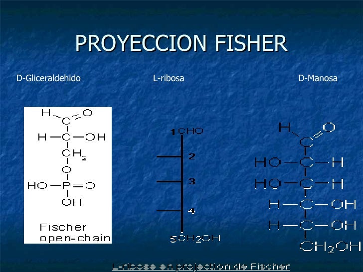 biokimika