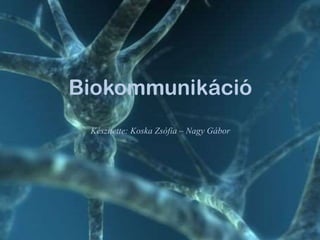 Biokommunikáció
Készítette: Koska Zsófia – Nagy Gábor

 