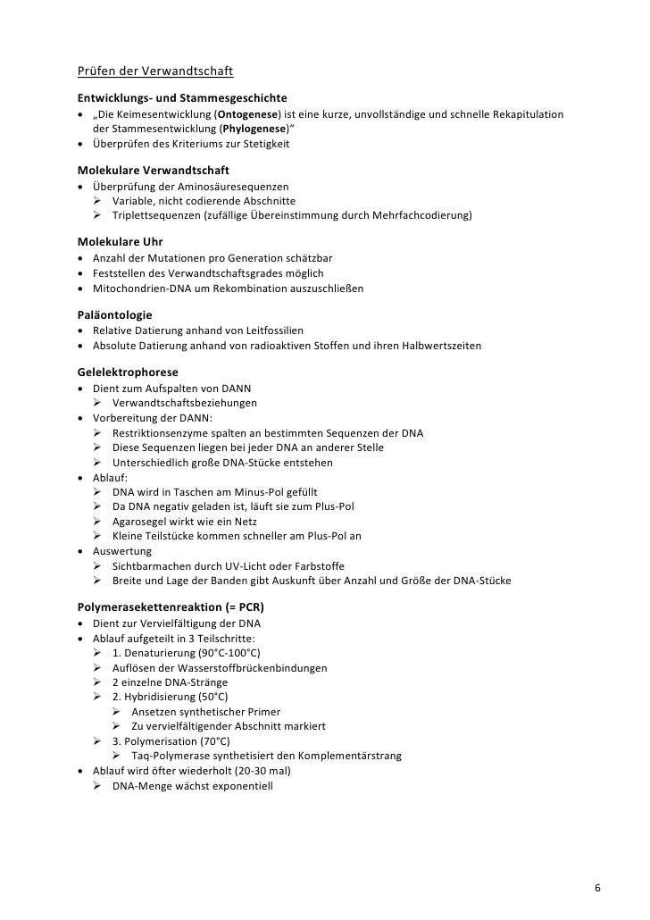 Relative und absolute Datierungsähnlichkeiten