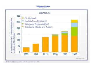 Biokraftstoffe Lima 2008 V2